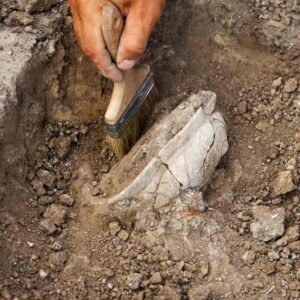 Archaeology: Fieldwork, Techniques, and Interpretation