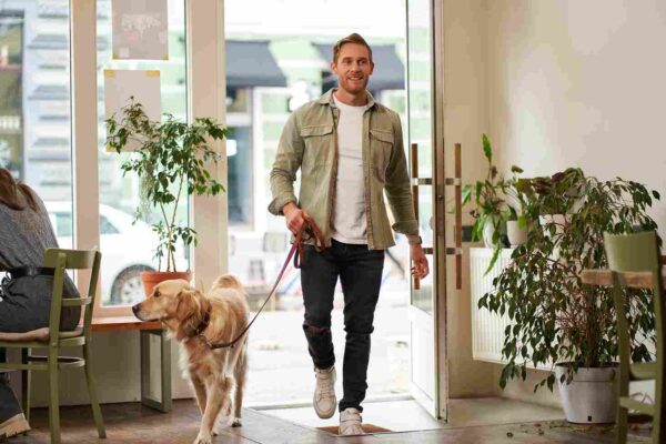 Pet Sitting and Dog Walking