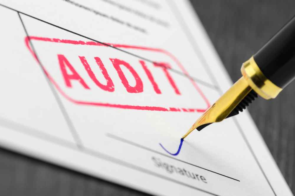 Internal Business Auditor