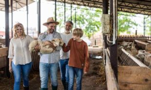 Livestock Management: Essential Skills for Animal Care & Farming
