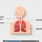 Asbestos Awareness Online Course 2