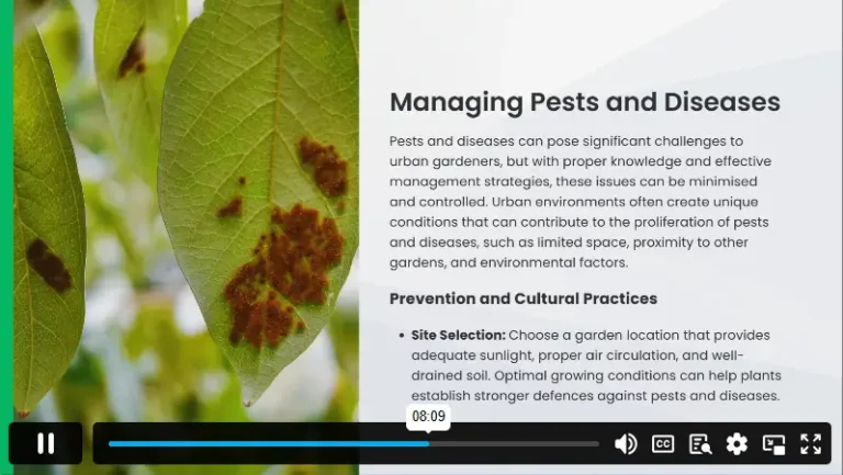 Urban Gardening for Sustainable Cities 2