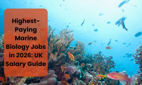 Highest-Paying Marine Biology Jobs in 2026: UK Salary Guide