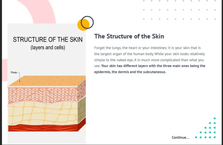 Beauty Skincare - 1